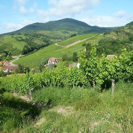 Schiefferberg Villa Bernardvillé Exteriör bild