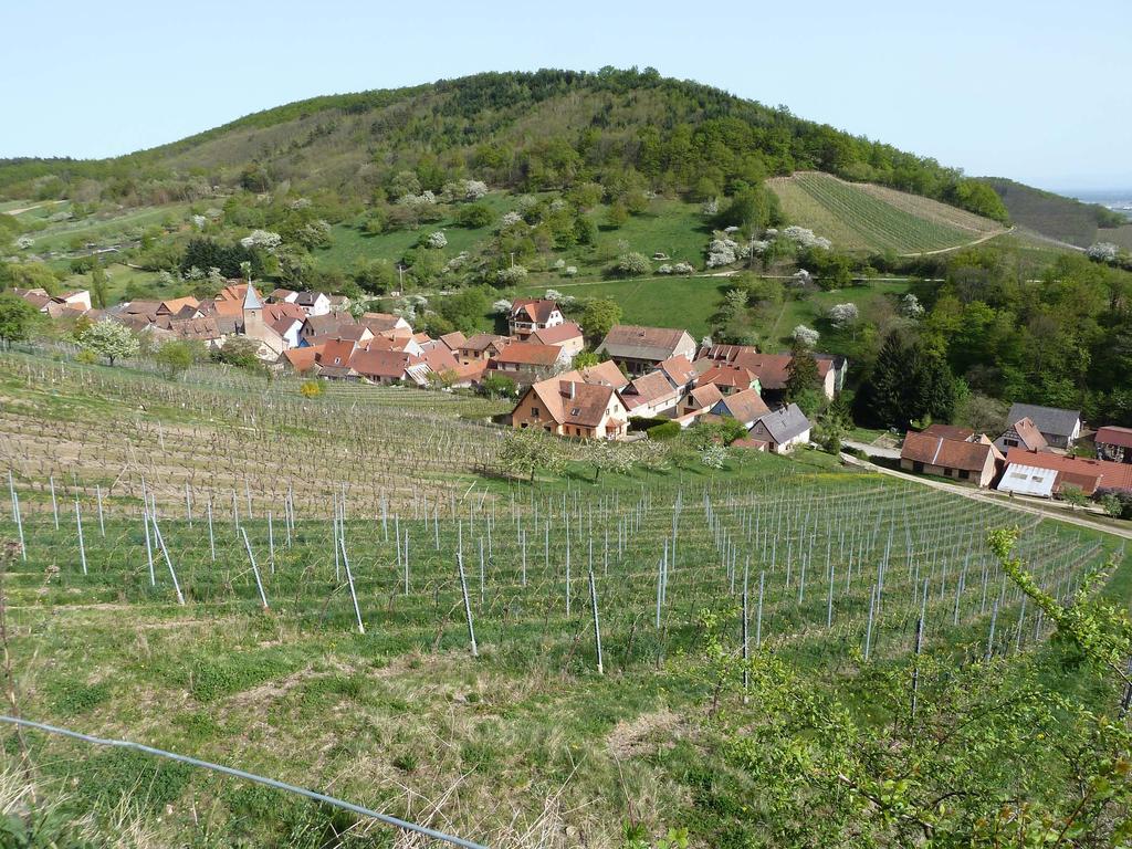 Schiefferberg Villa Bernardvillé Exteriör bild